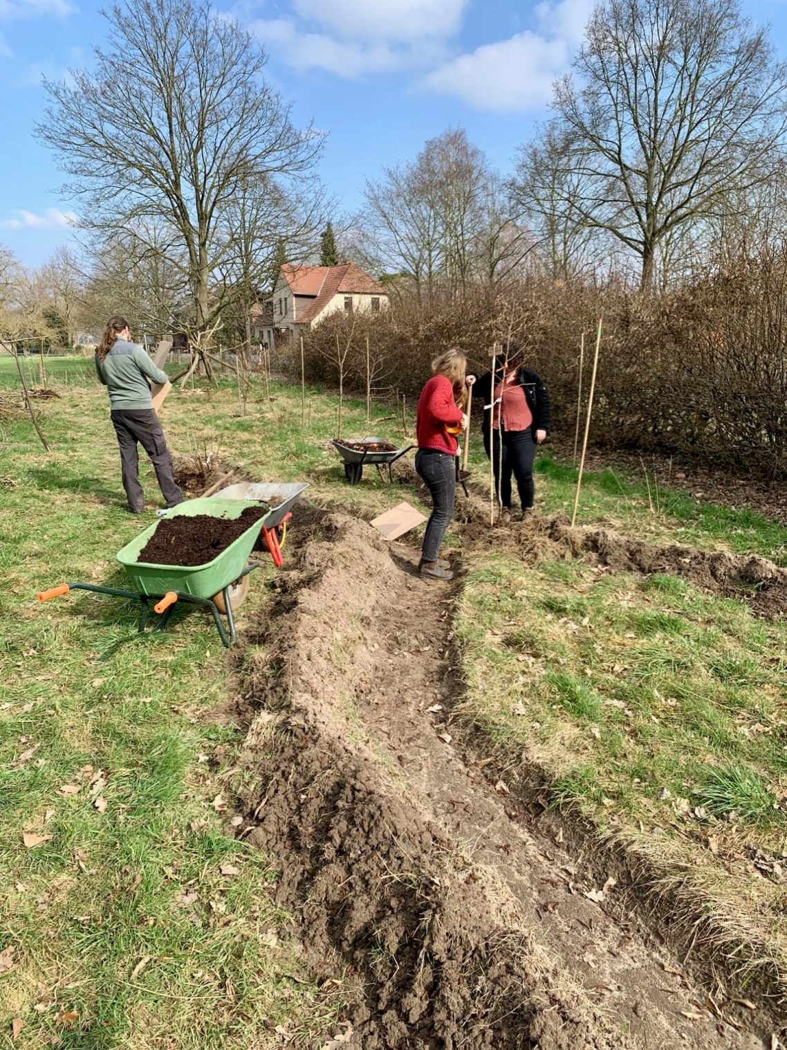 Permakultur-Designer und Team bei der Waldgartenpflege